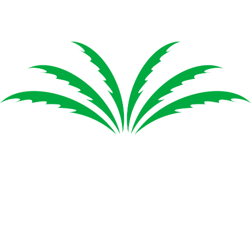 La Palmera Logo